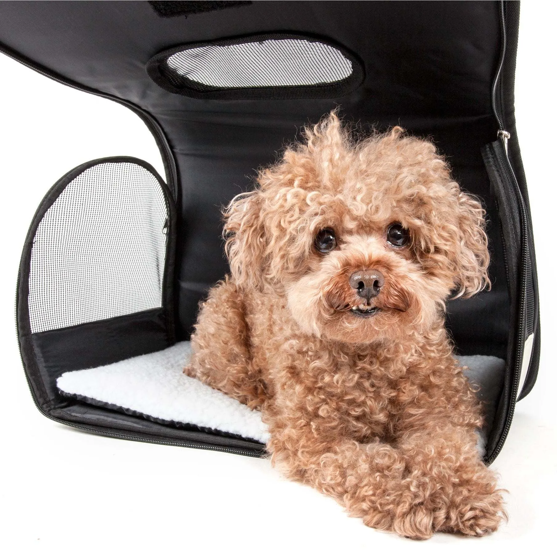 Airline approved folding pet carrier with leash holder and thermal insulation. Explorer