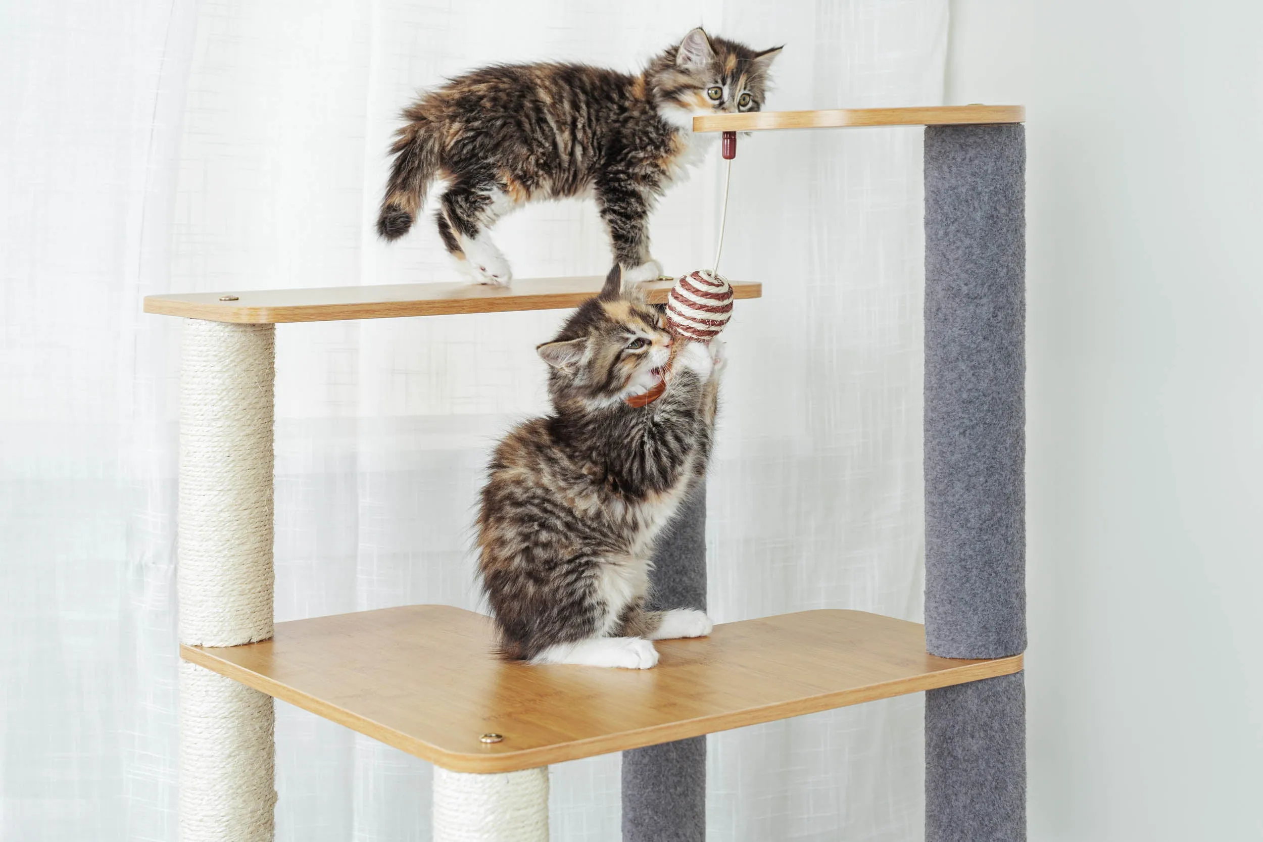 Ascentials by FurHaven Luxe Suite Cat Tower (48”-58”), Customizable Multi-Level Indoor Cat Tree