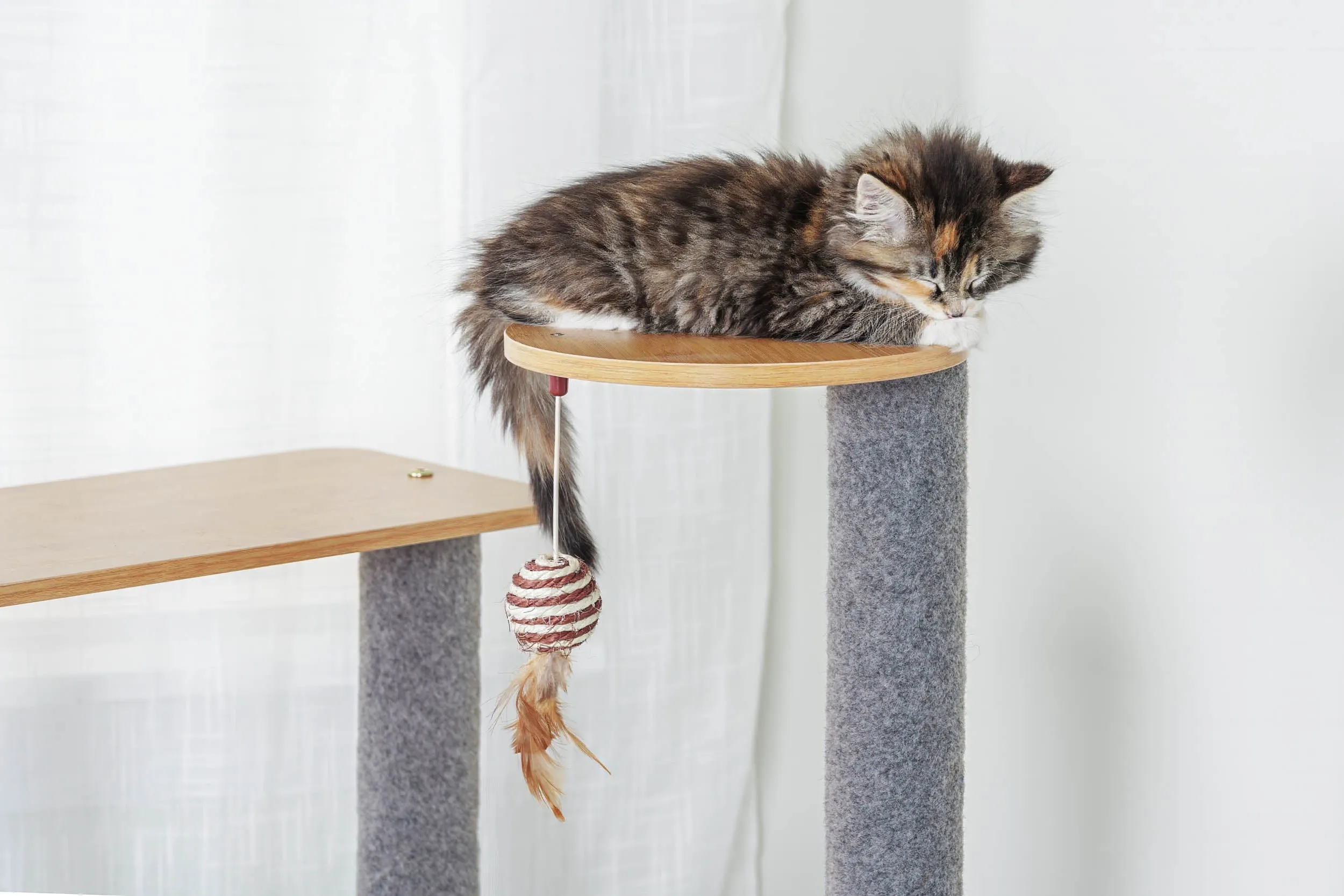 Ascentials by FurHaven Luxe Suite Cat Tower (48”-58”), Customizable Multi-Level Indoor Cat Tree