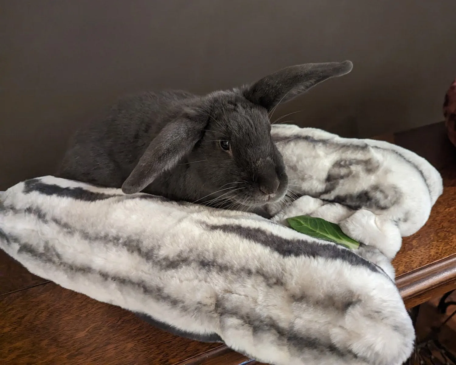 Bolstered Pet Bed - Royal Opulence Faux Furs (Sold Out - Merlot!)