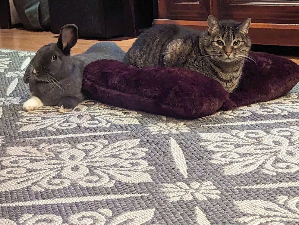 Bolstered Pet Bed - Royal Opulence Faux Furs (Sold Out - Merlot!)