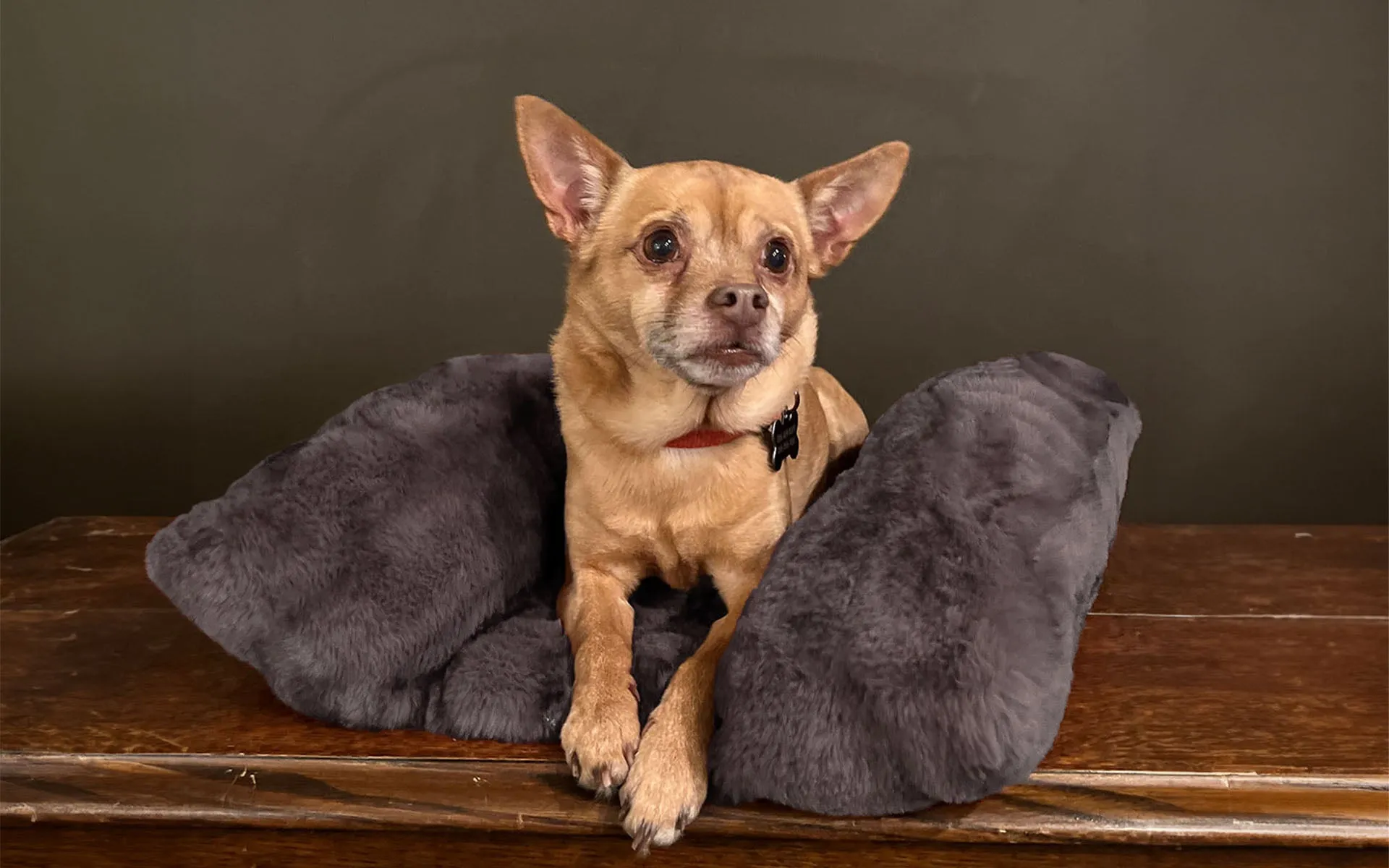 Bolstered Pet Bed - Royal Opulence Faux Furs (Sold Out - Merlot!)