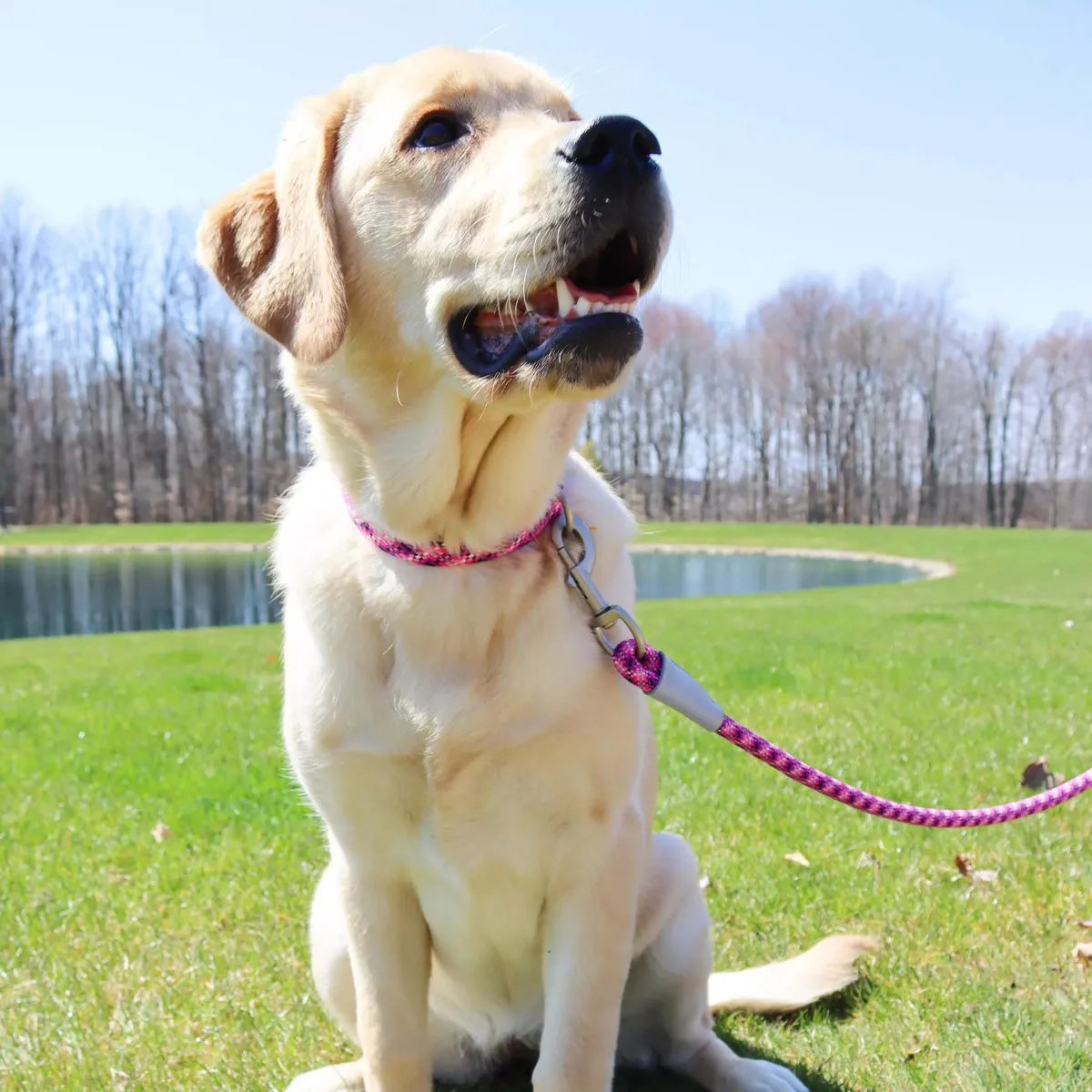Coastal Pro Active Adjustable Woven Reflective Dog Collar L Pixel Pink