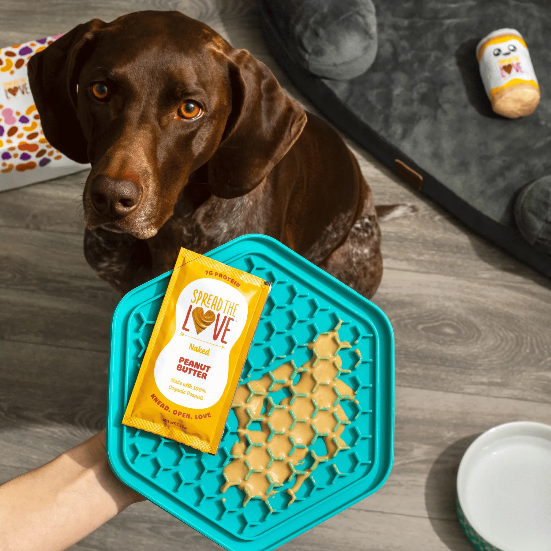 Dog Lover Gift Set