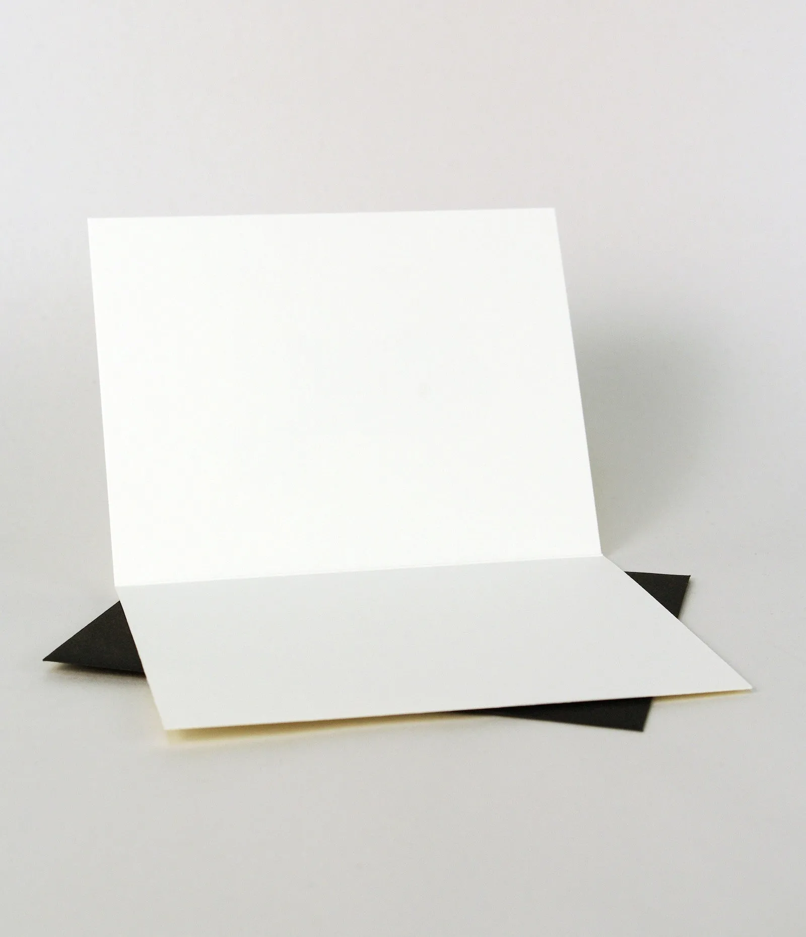 Dog - Shaggy Dog Card
