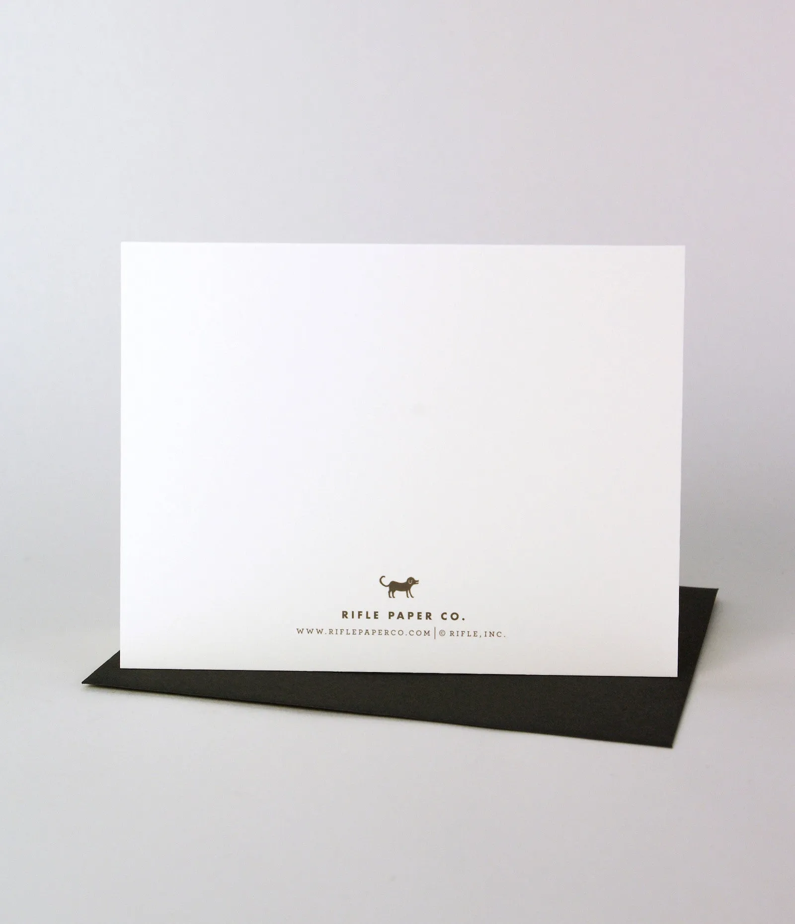 Dog - Shaggy Dog Card