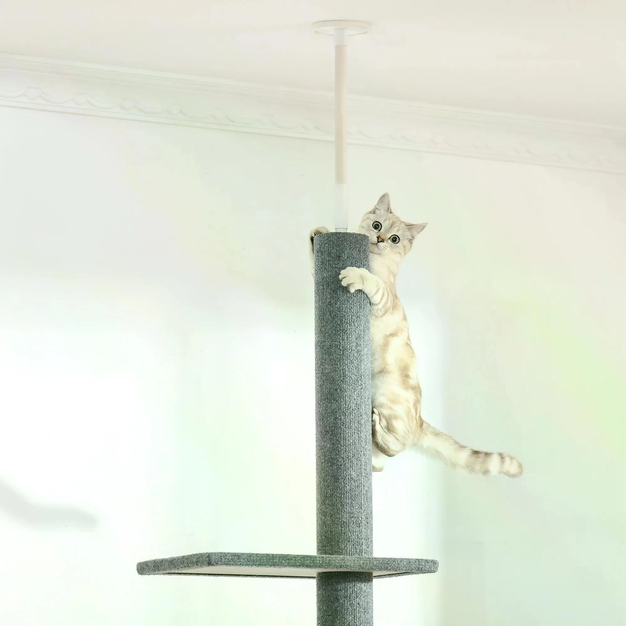 Floor-to-Ceiling Cat Tree with 3 Perches, 228-260cm - Grey
