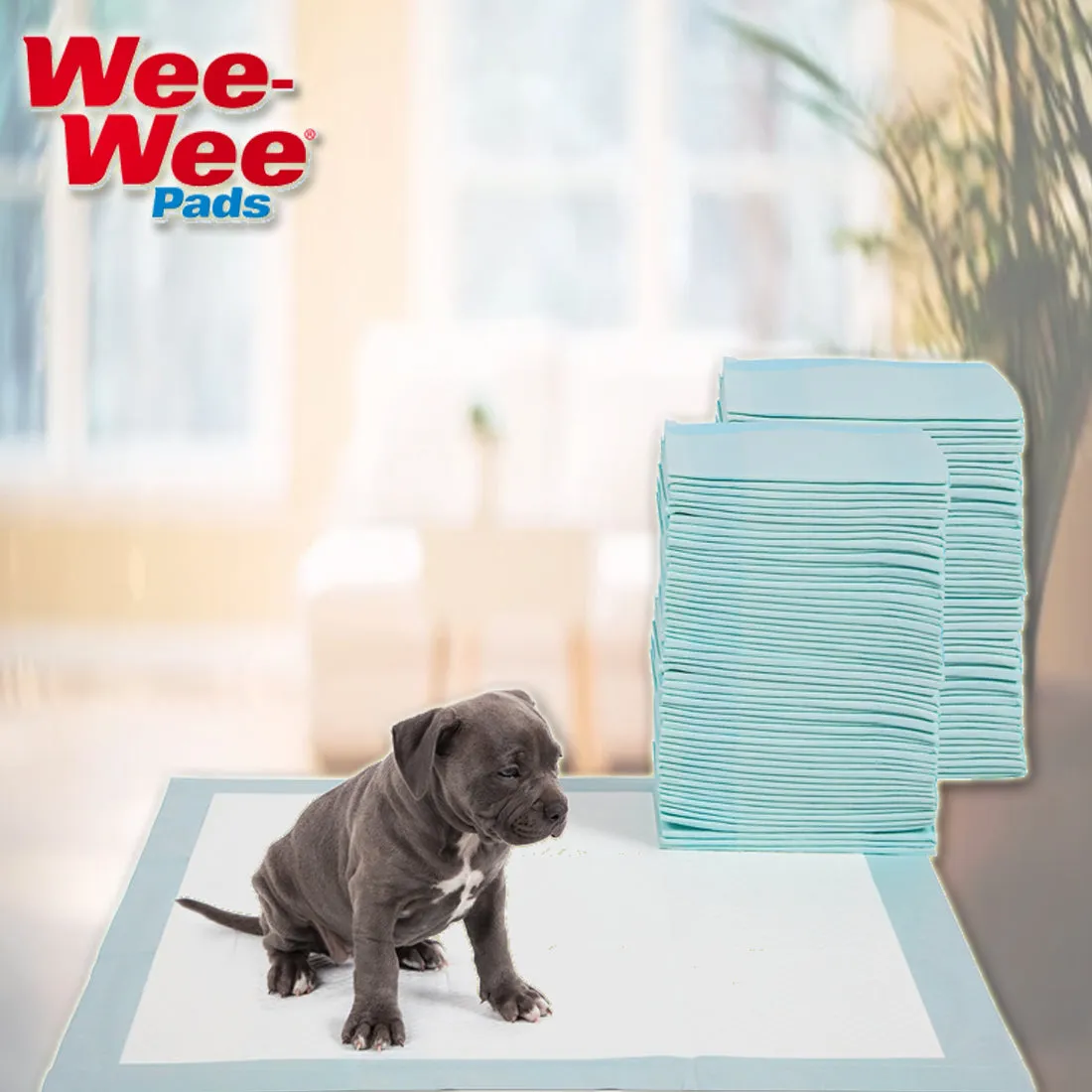 Four Paws DELUXE Wee Wee Pads for Standard and Little Dogs, 36 Count