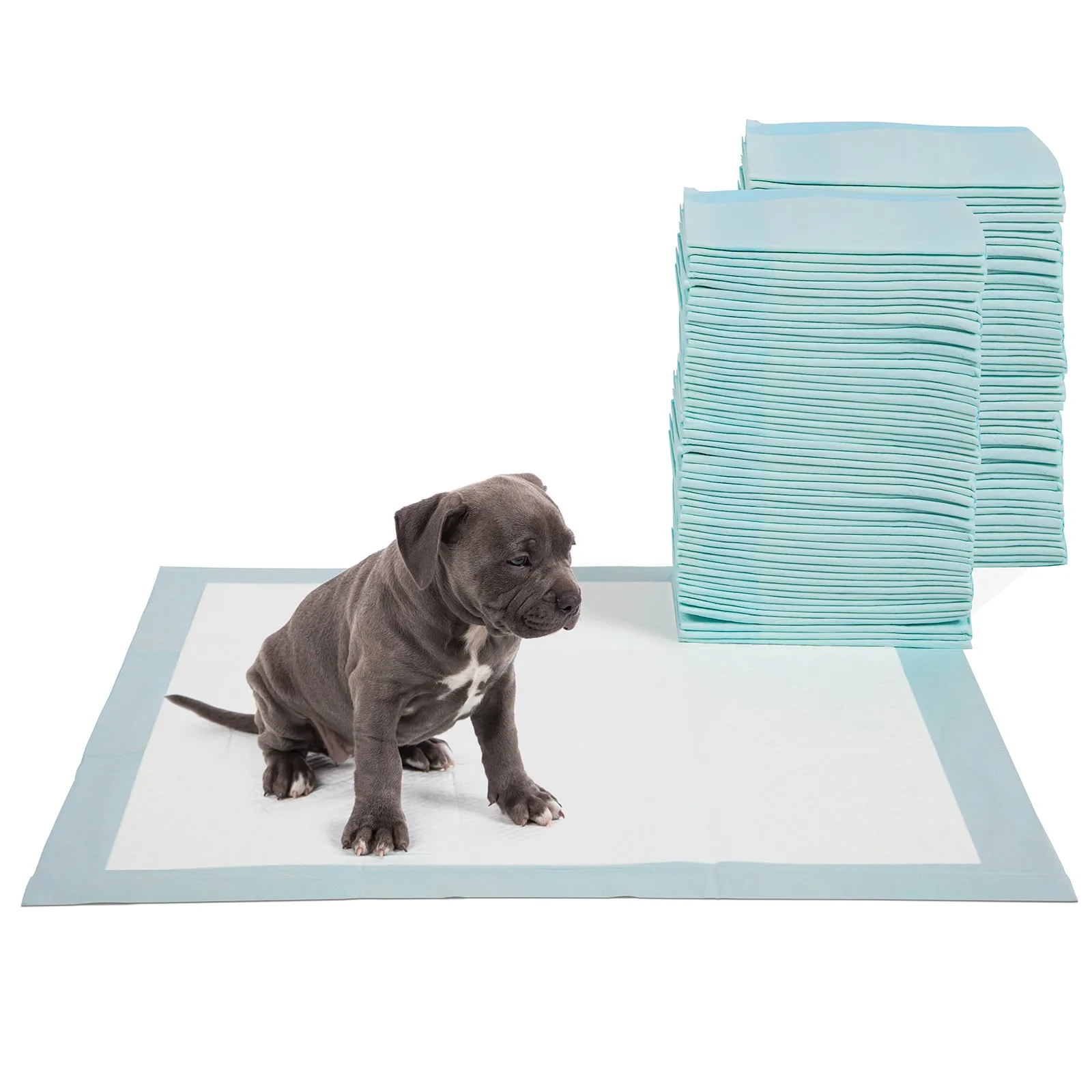 Four Paws DELUXE Wee Wee Pads for Standard and Little Dogs, 36 Count