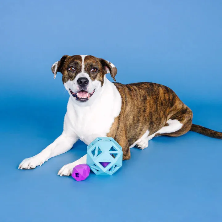Fringe Dog Toy Rubber Sweet Inside