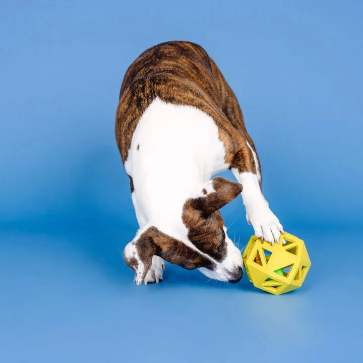 Fringe Dog Toy Rubber Sweet Inside