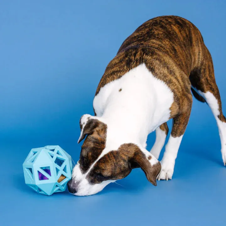 Fringe Dog Toy Rubber Sweet Inside