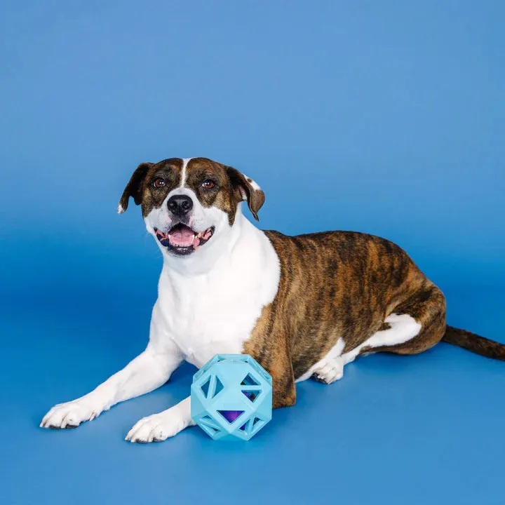 Fringe Dog Toy Rubber Sweet Inside