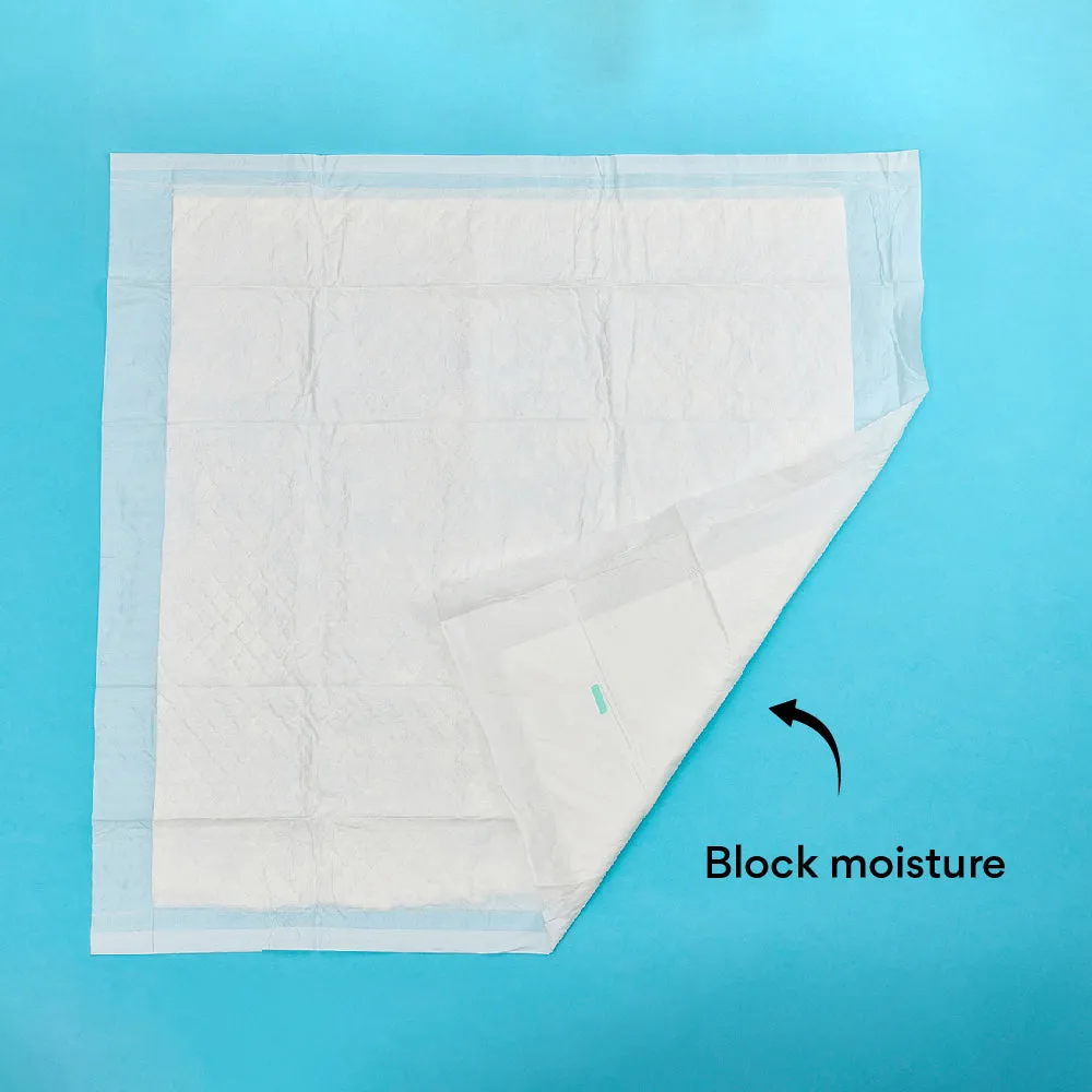 Kanu Pet Dog Pads Kanu Pet Dog Training Pads, Pack of 10, Absorbent, Anti-Allergenic, Non-Slip