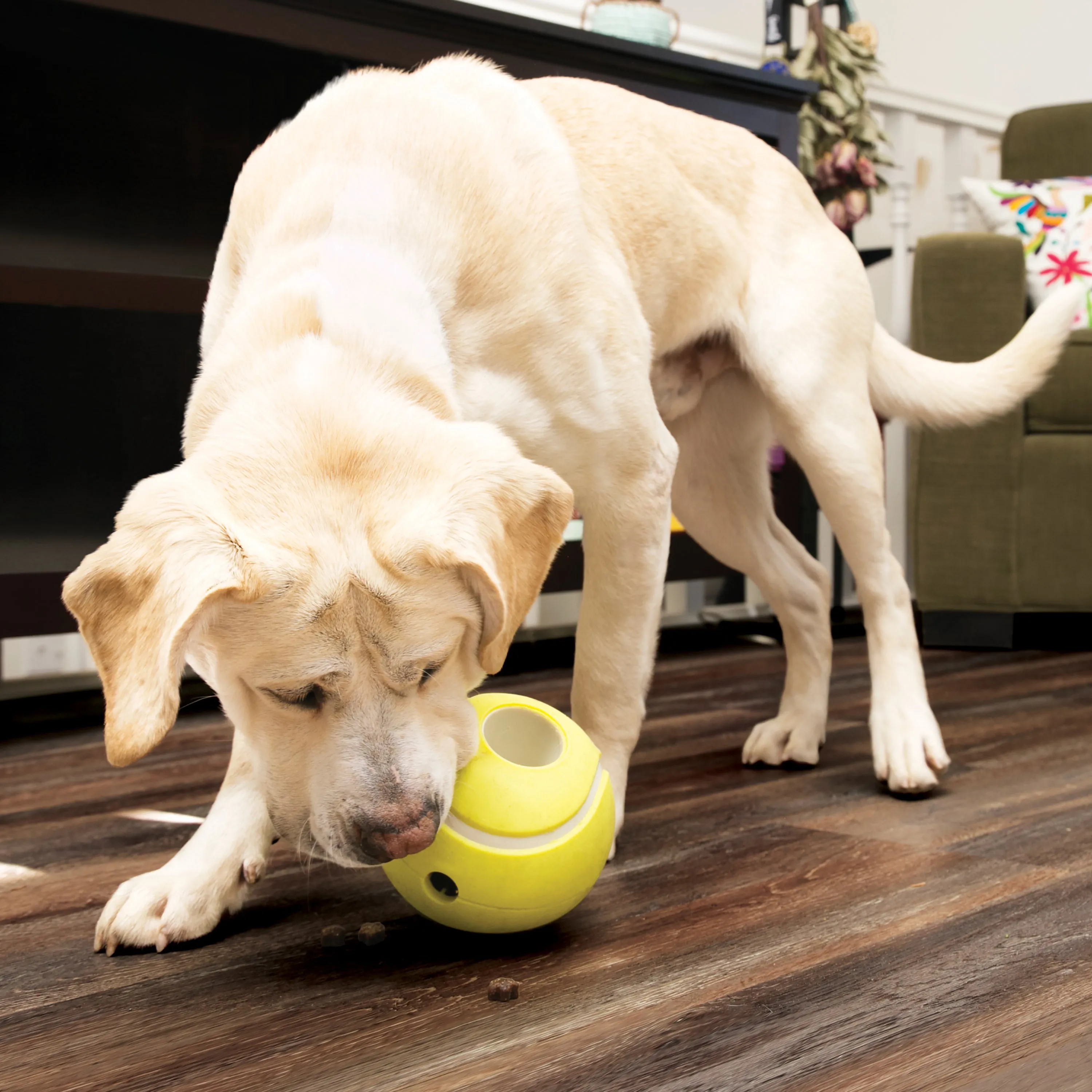 KONG Rewards | Dog Treat Dispenser Toy | Tennis Ball - Small