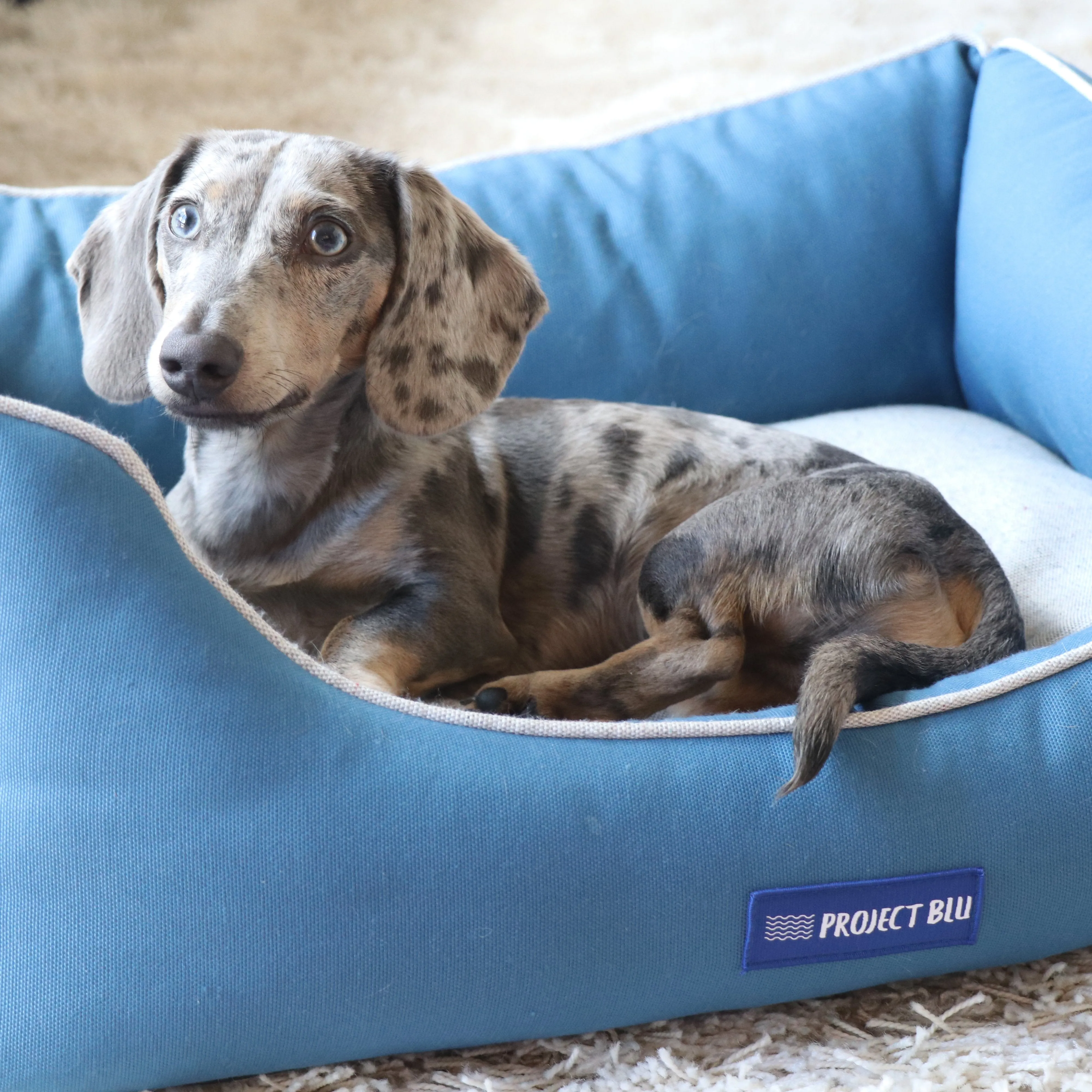 Marlin ECO-FABRIC Bolster Dog Bed
