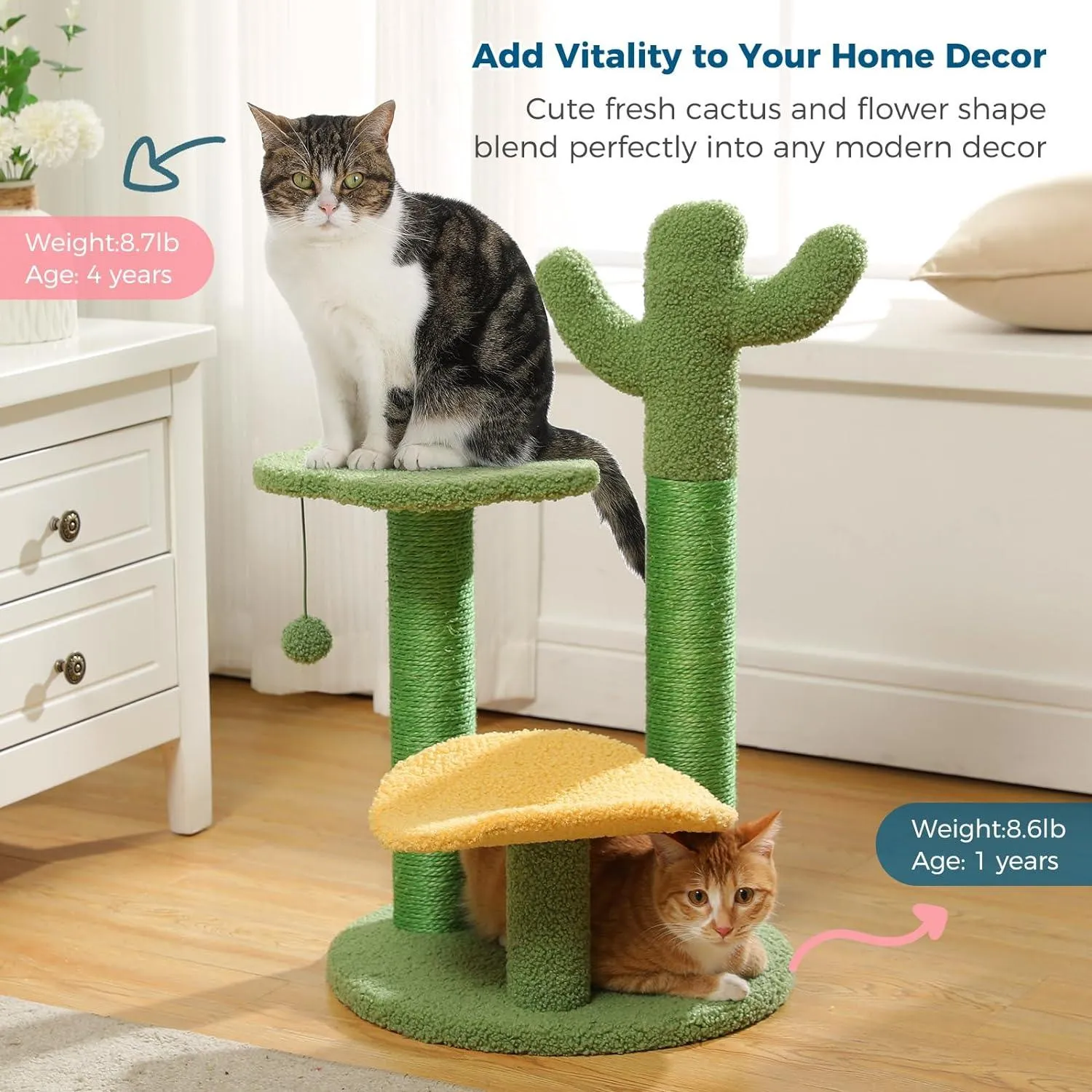 Multi-Level Indoor Cat Tree with Perch & Ball & Scratching Posts