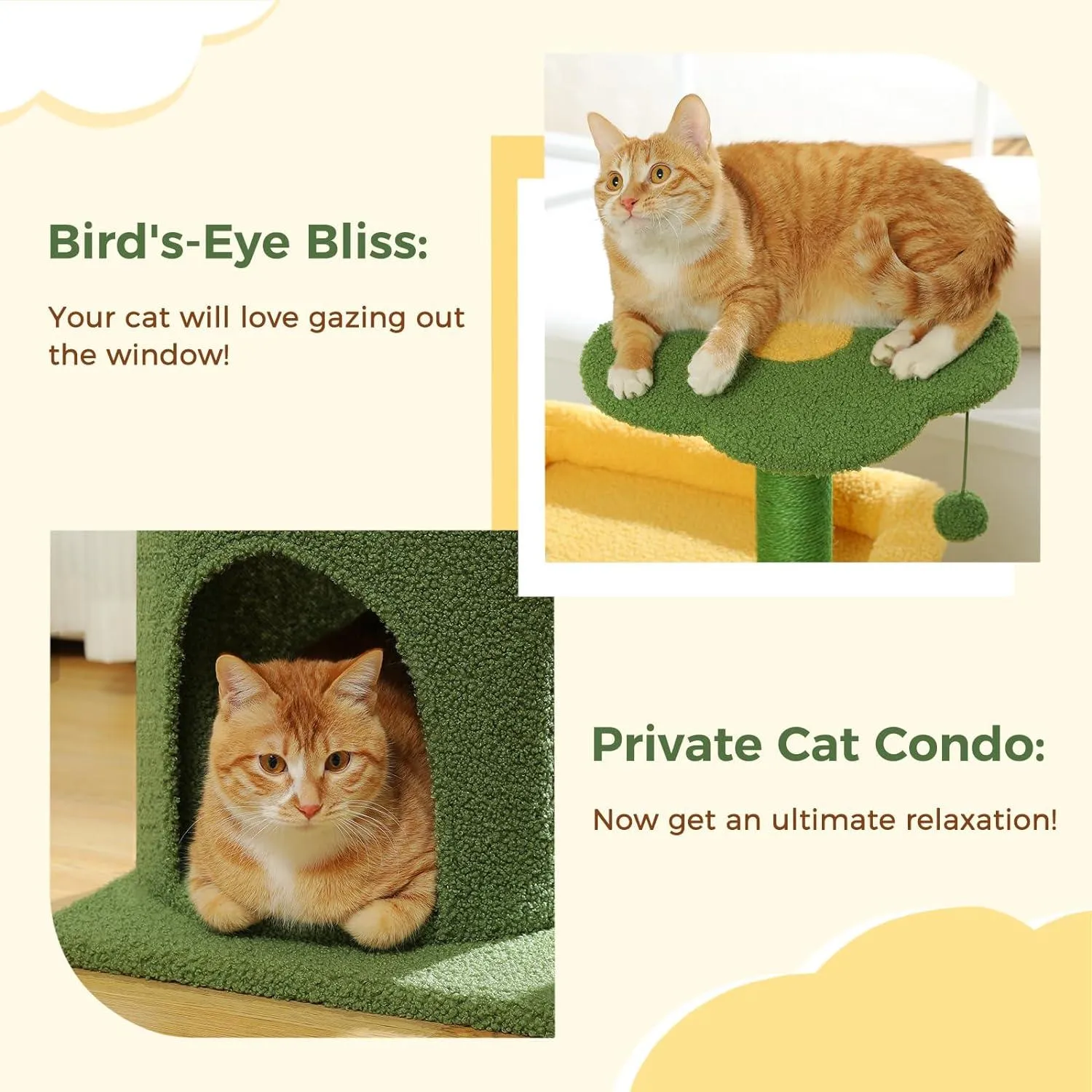 Multi-Level Indoor Cat Tree with Perch & Ball & Scratching Posts