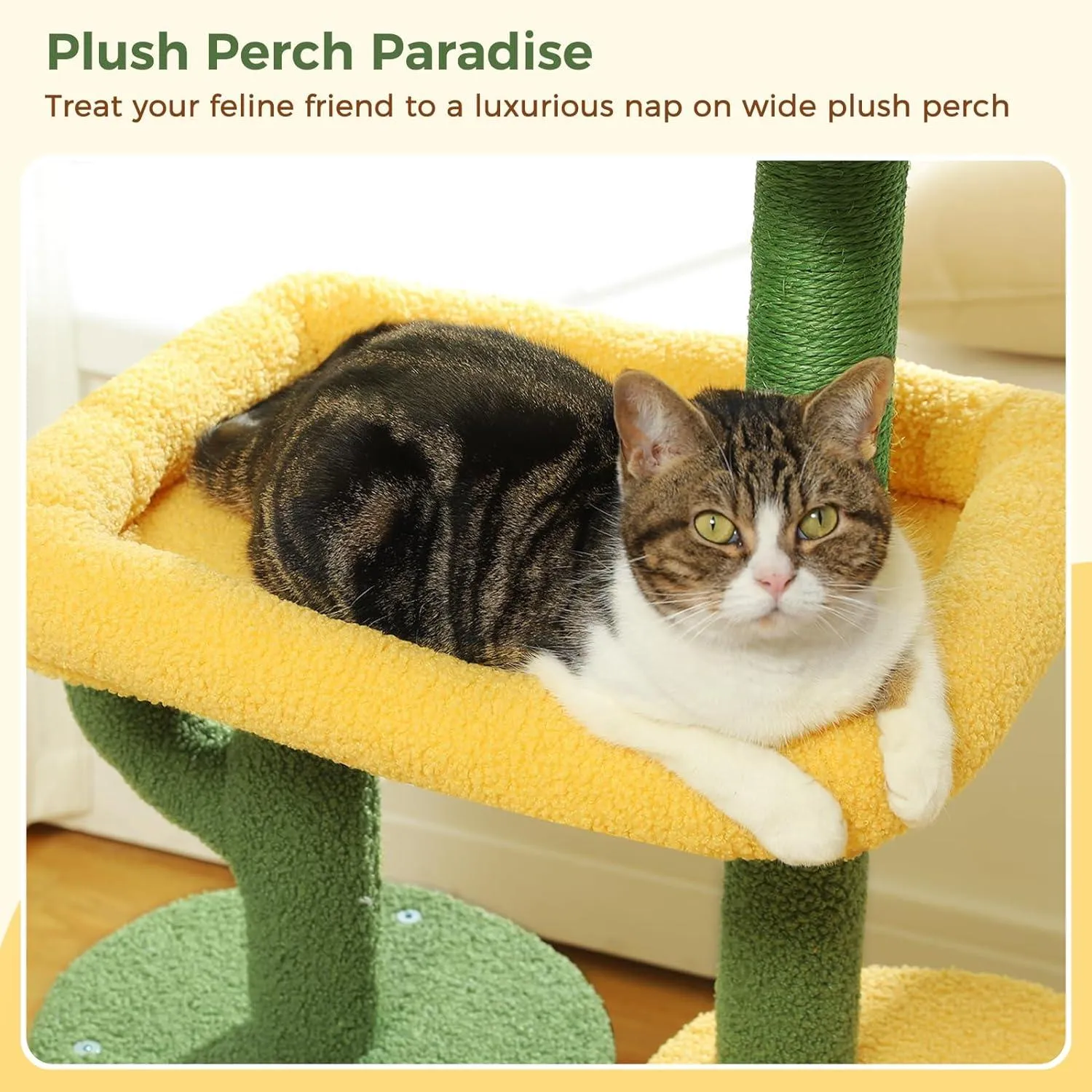 Multi-Level Indoor Cat Tree with Perch & Ball & Scratching Posts