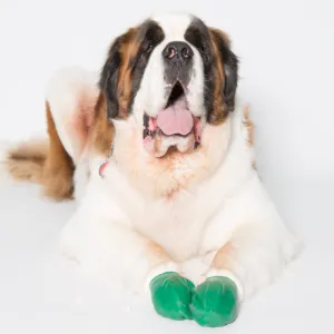 Pawz Rubber Dog Boots