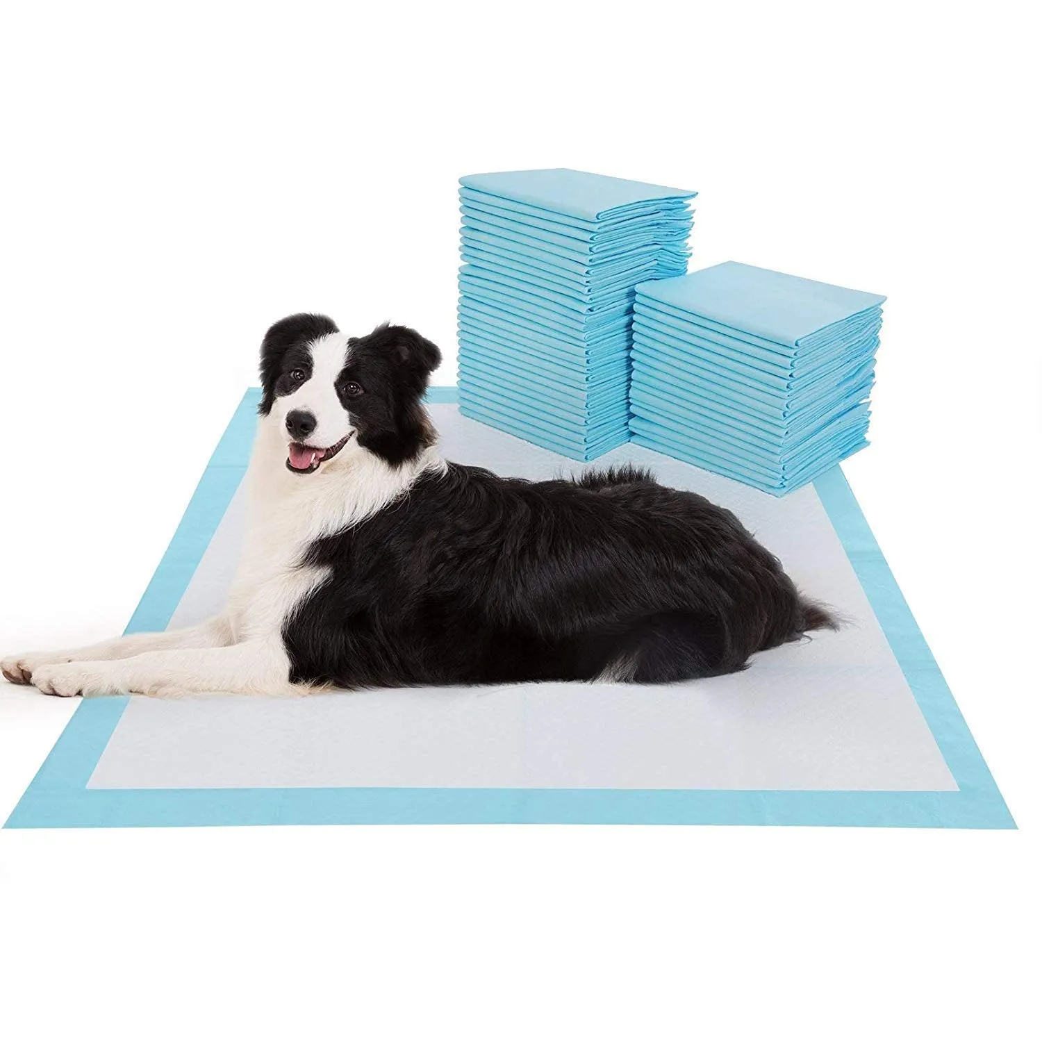 Pet Training Pads 70PCS 60X90CM