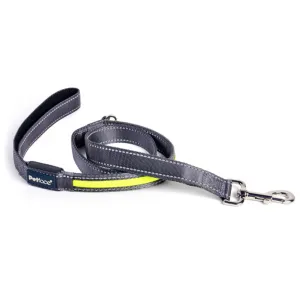 Petface Reflective Flashing Lead