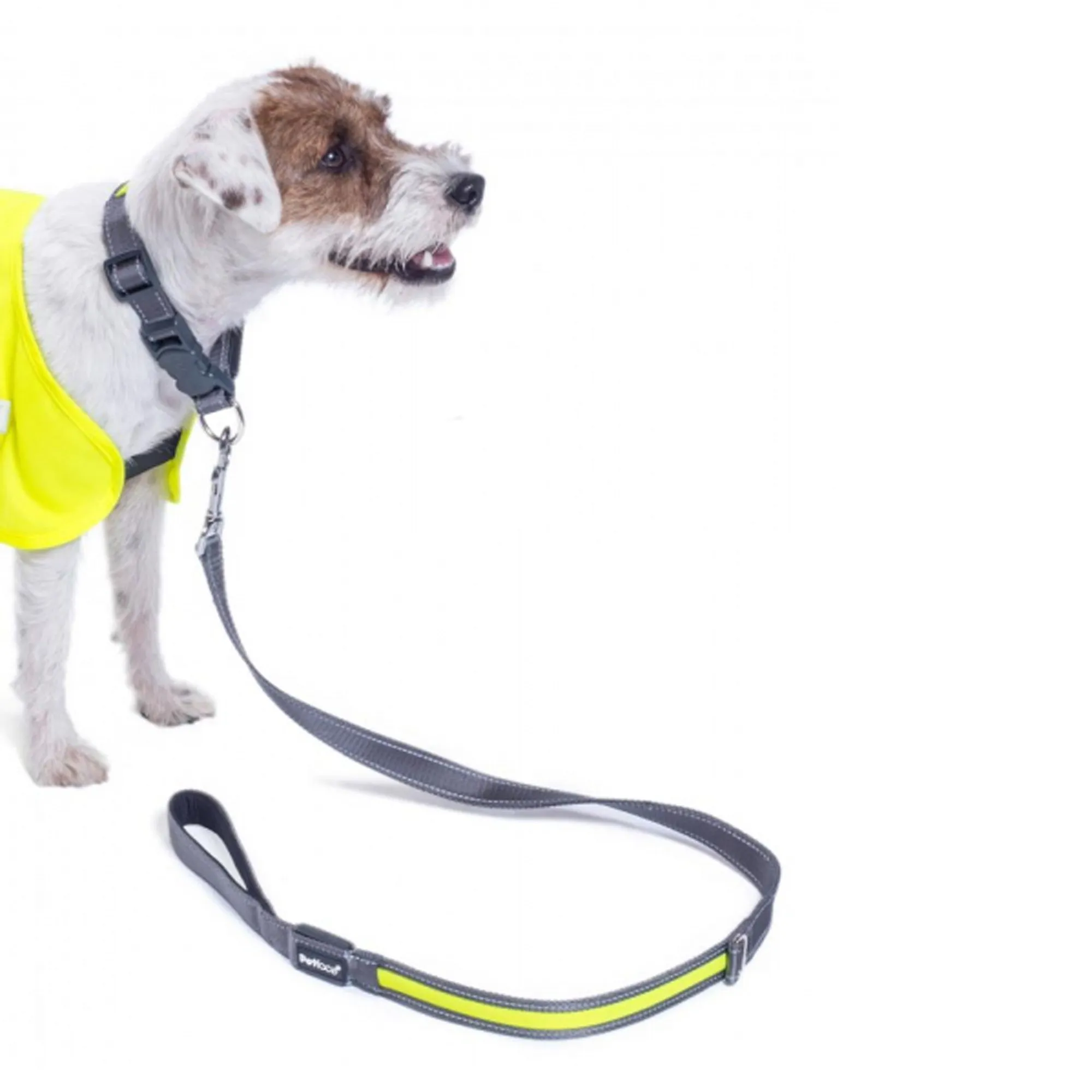 Petface Reflective Flashing Lead