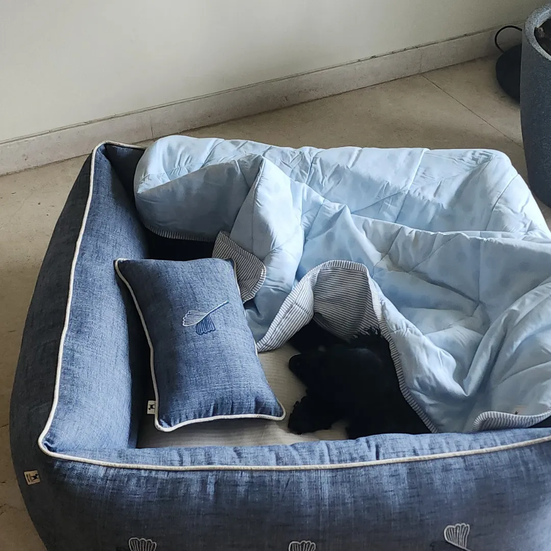 PoochMate Blue Linen Ginkgo Bedding Set