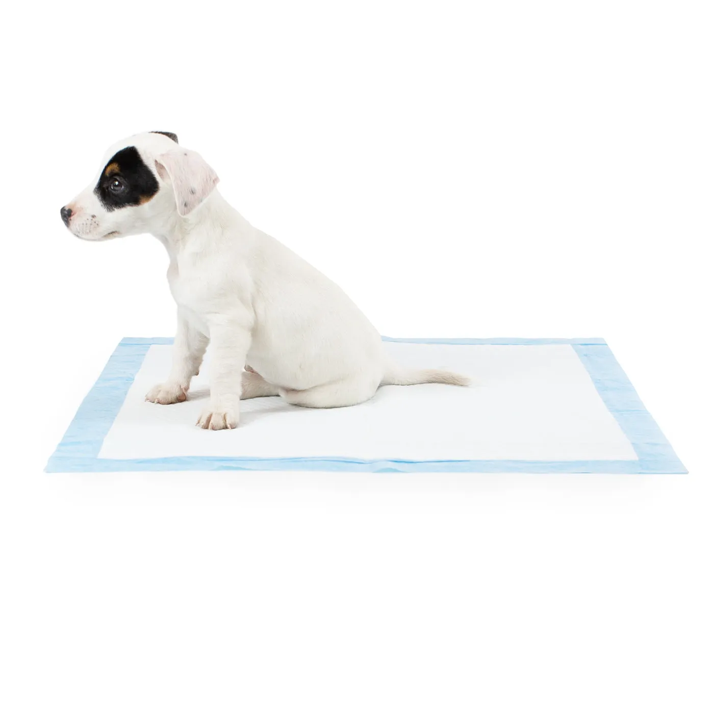 Puppy Training Pads by Lords & Labradors