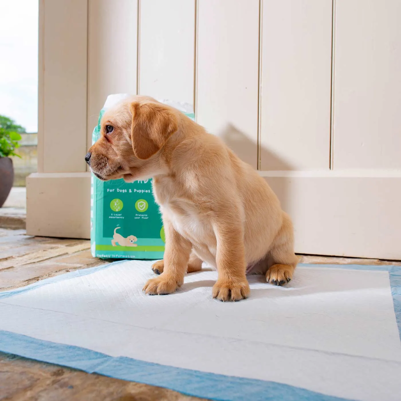 Puppy Training Pads by Lords & Labradors