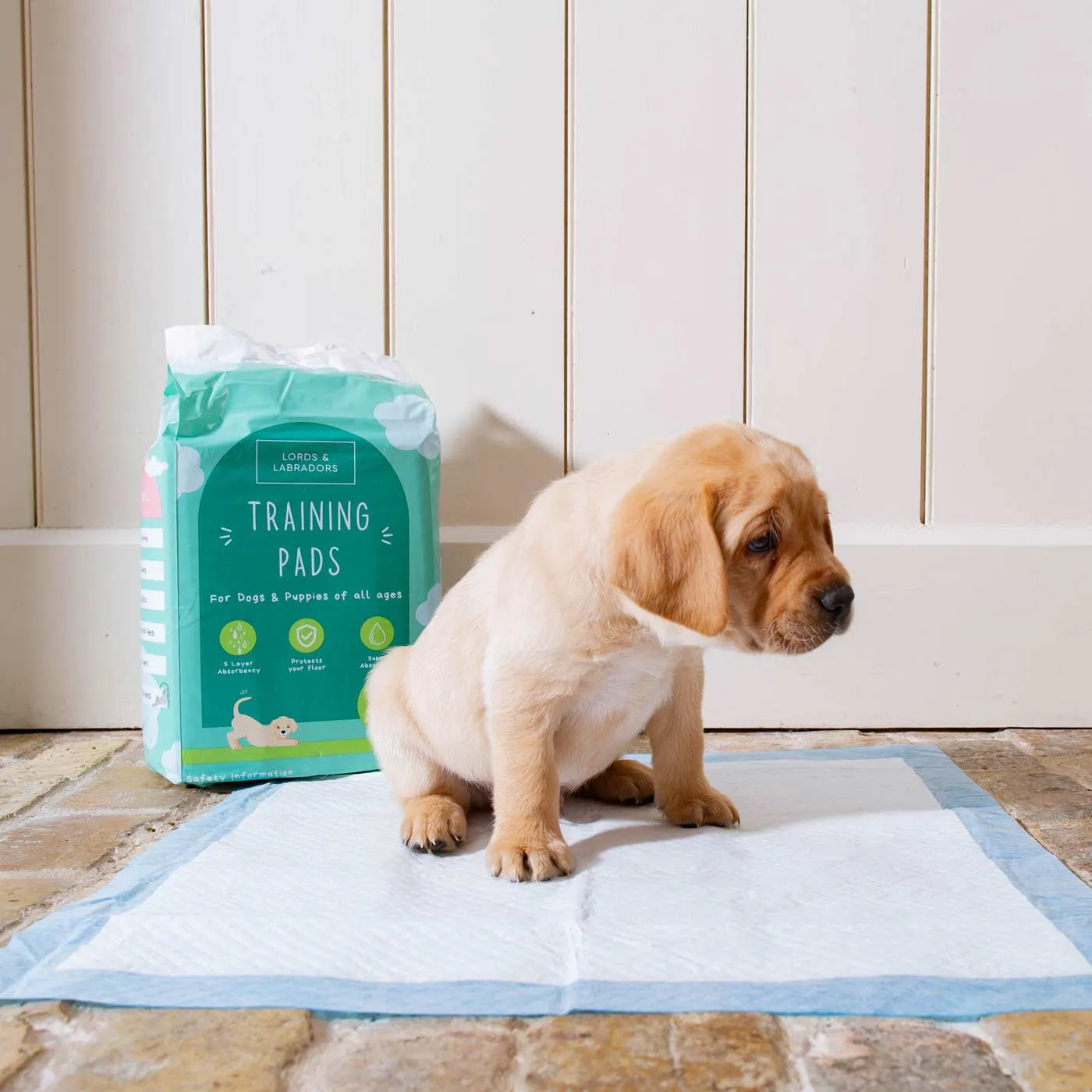 Puppy Training Pads by Lords & Labradors