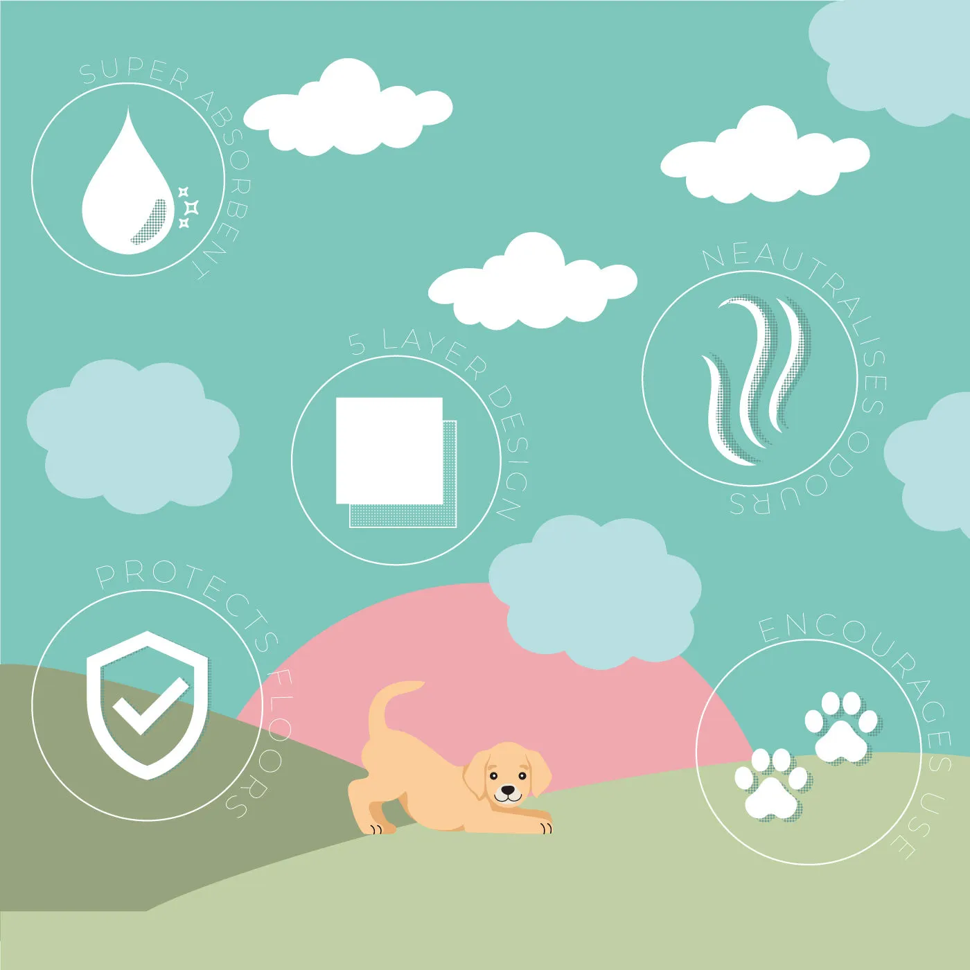 Puppy Training Pads by Lords & Labradors