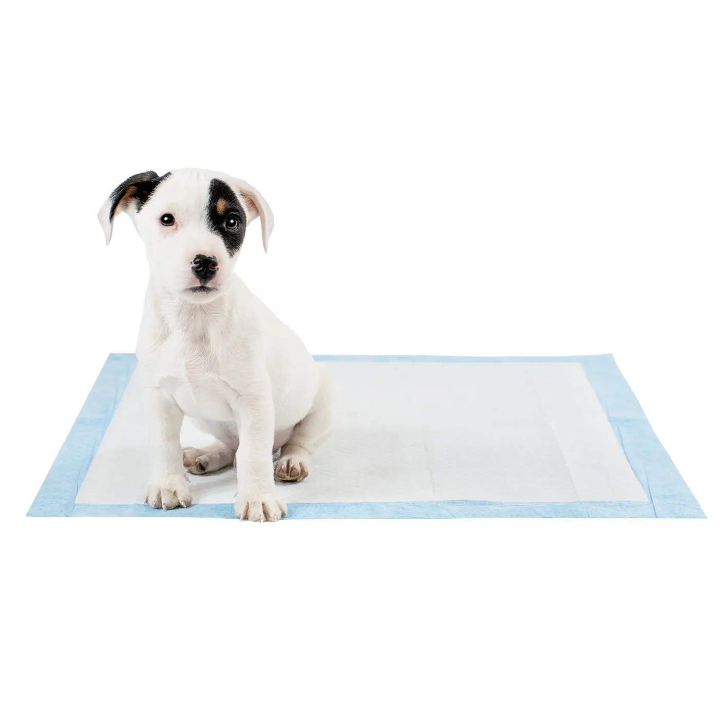 Puppy Training Pads by Lords & Labradors