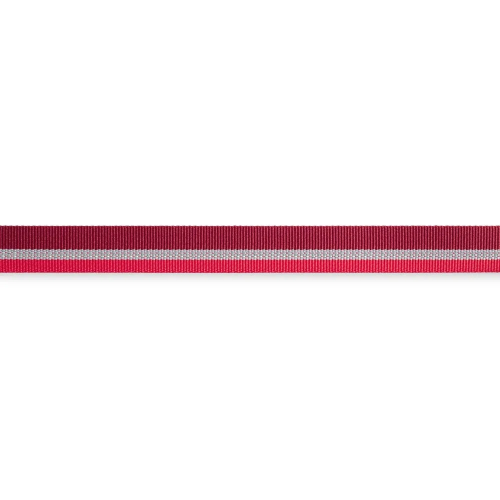 Ruffwear Crag Reflective Multi-Function Dog Leash (Cindercone Red)