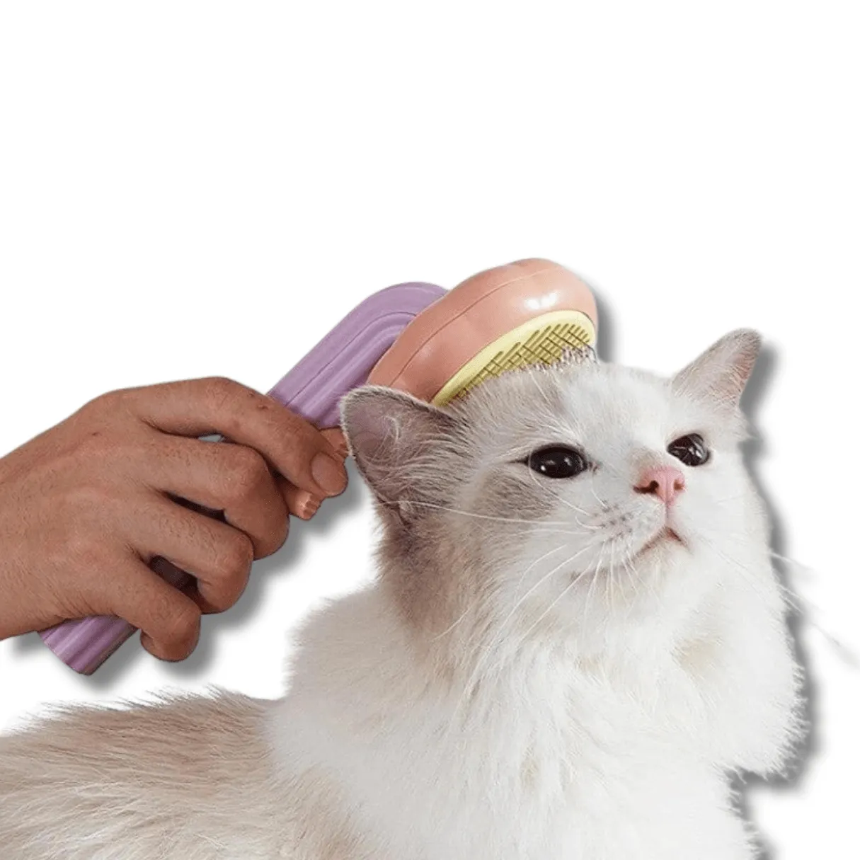 Self Cleaning Massage Comb