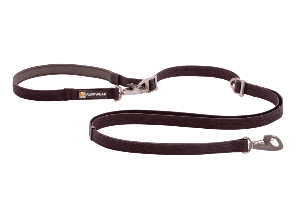 Switchbak Leash
