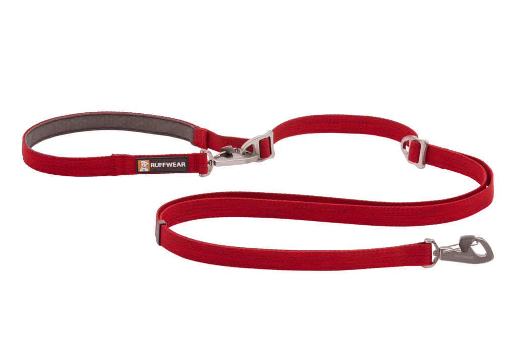 Switchbak Leash