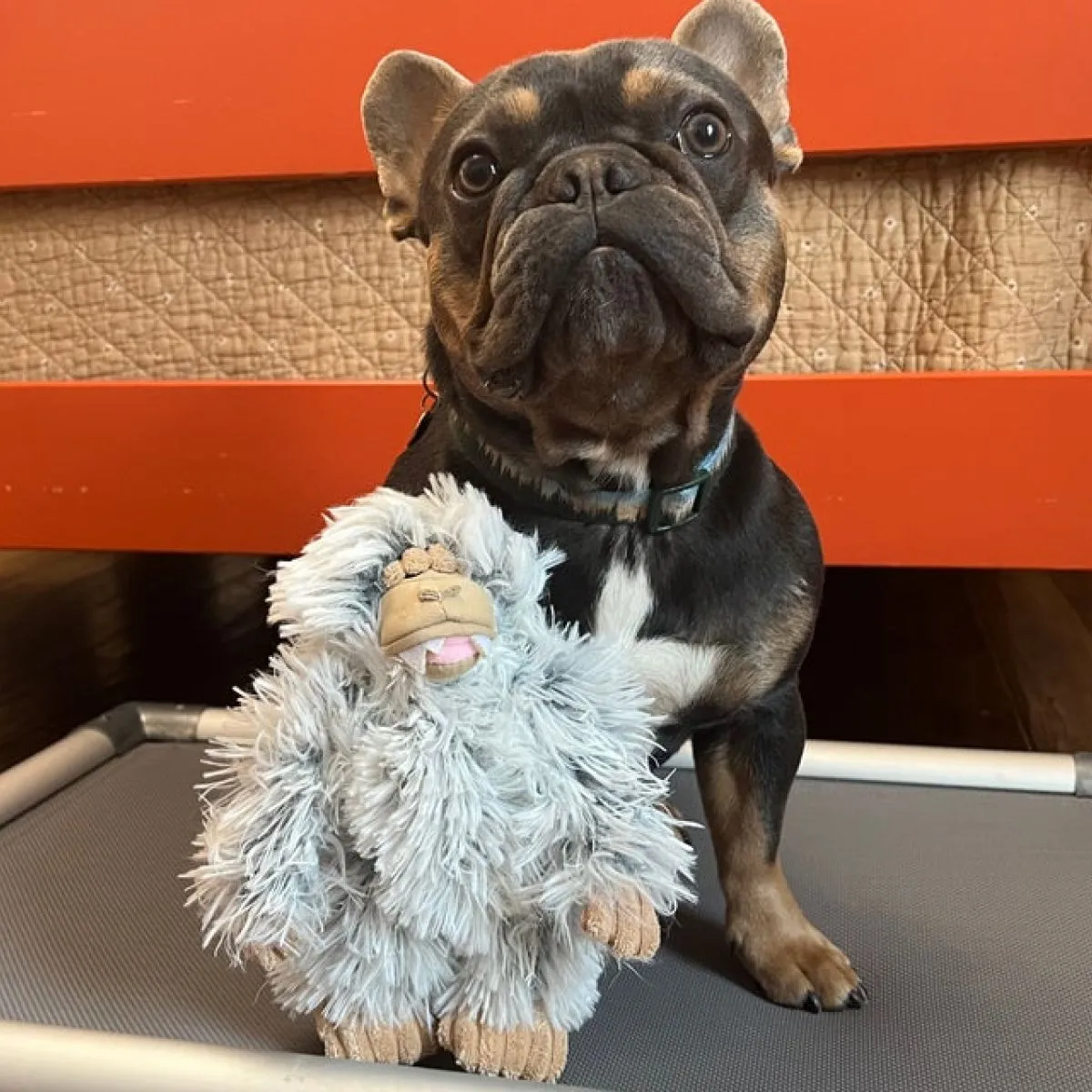 Tall Tails Dog Toy Mini Yeti with Squeaker