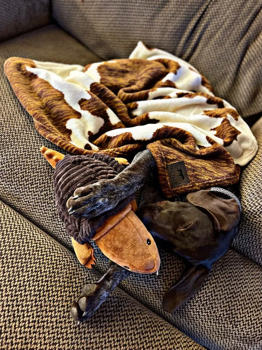 Tall Tails Dog Toy Plush Snapping Turtle
