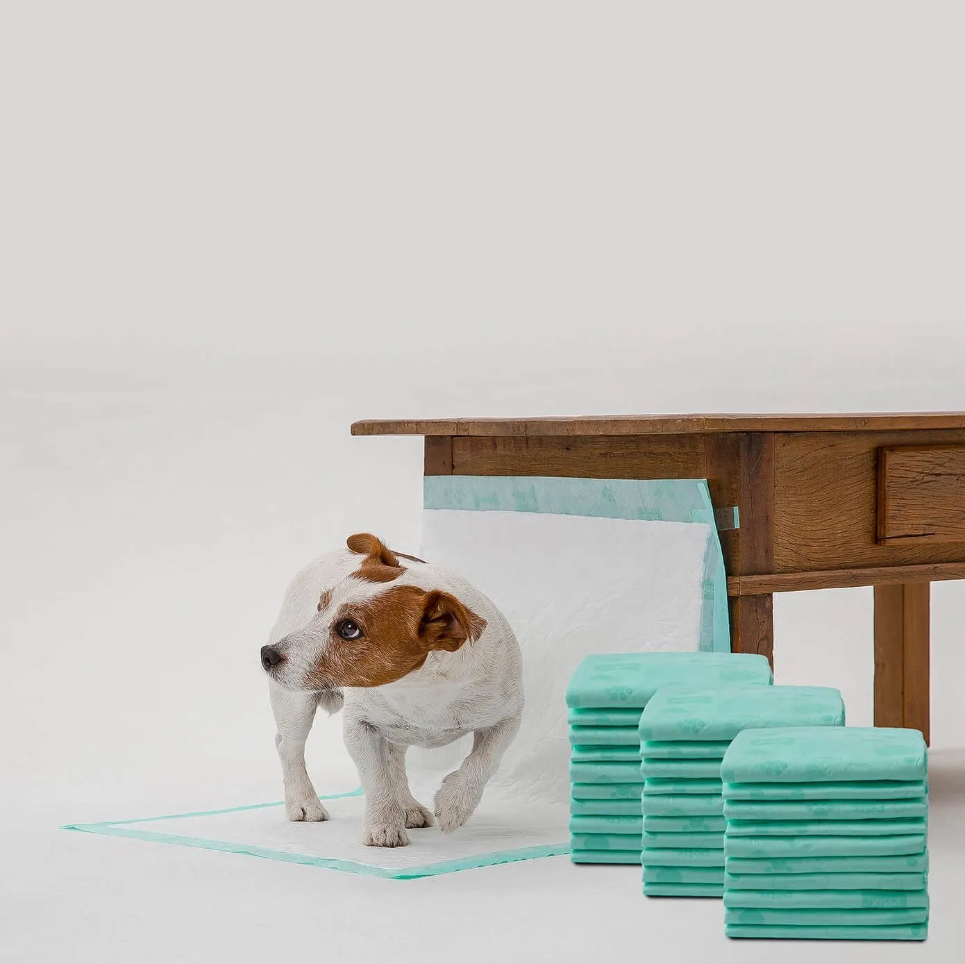 WizSmart Dog and Puppy Training Pads Ultra